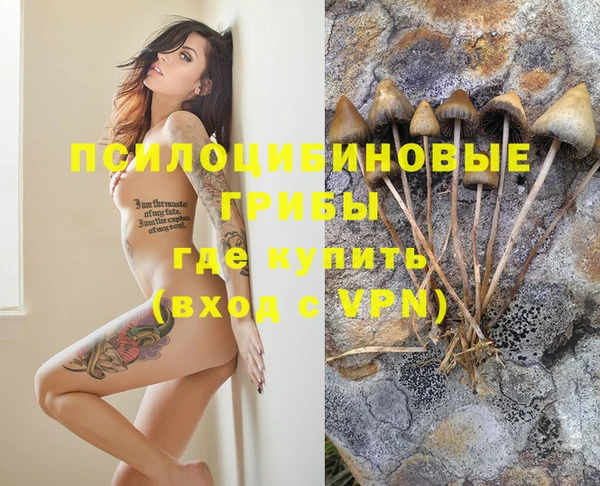 a pvp Михайловск