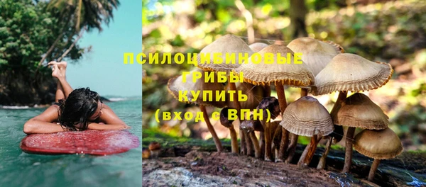 ALPHA PVP Михайлов